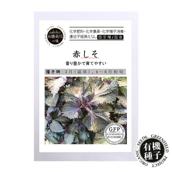 紫蘇の実 写真素材5522586- フォトライブラリ