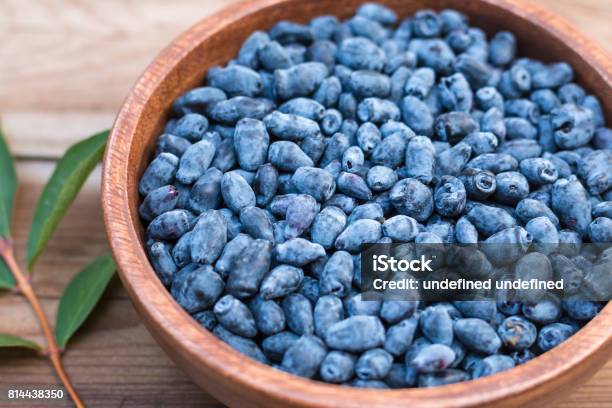 青色・紫色の果物一覧20選和名と英語名ごがくねこ