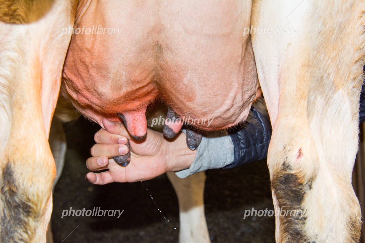 牧場しぼり ミルク公式 江崎グリコ Glico