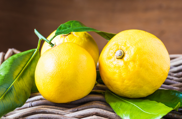 ベルガモット 育て方、効果・効能などハーブのホームページ