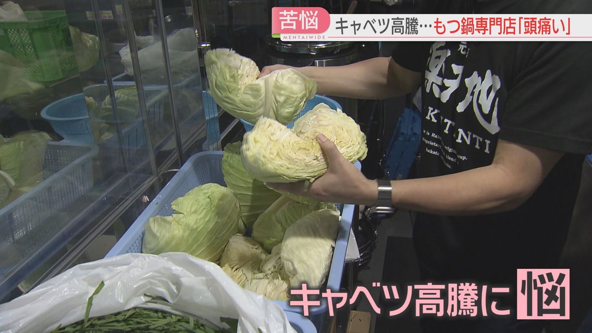 木のテーブルの上のキャベツの3つの頭。キャベツの3つの頭。キャベツの頭 - 収穫された作物。テーブルの上の美しいキャベツ。の写真素材・画像素材Image 192998364