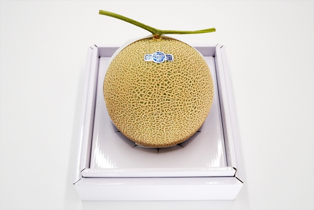 ITを活用して栽培した高級メロンの新ブランド『i MELON アイメロン 』を3月3日より販売開始株式会社大和コンピューターのプレスリリース