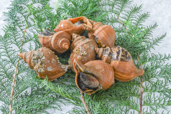 ツブ貝ヒモ 刻み 500gスシリーチ 公式 業務用寿司ネタの仕入れ・通販