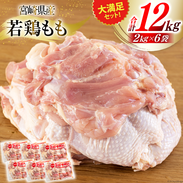 若鶏 もも肉 細切り 冷凍 200g×10袋セット合計2.0kg真空包装九州児湯フーズ 宮崎県 美郷町 31aj0057肉 鶏肉 鶏コンパクト モモ 国産 鳥 肉 宮崎県産 若鶏 炒め物 煮込み 親子丼 チンジャオロース 炊き込みご飯 カット 切り身 便利 簡単調理小分け 宮崎県美郷町