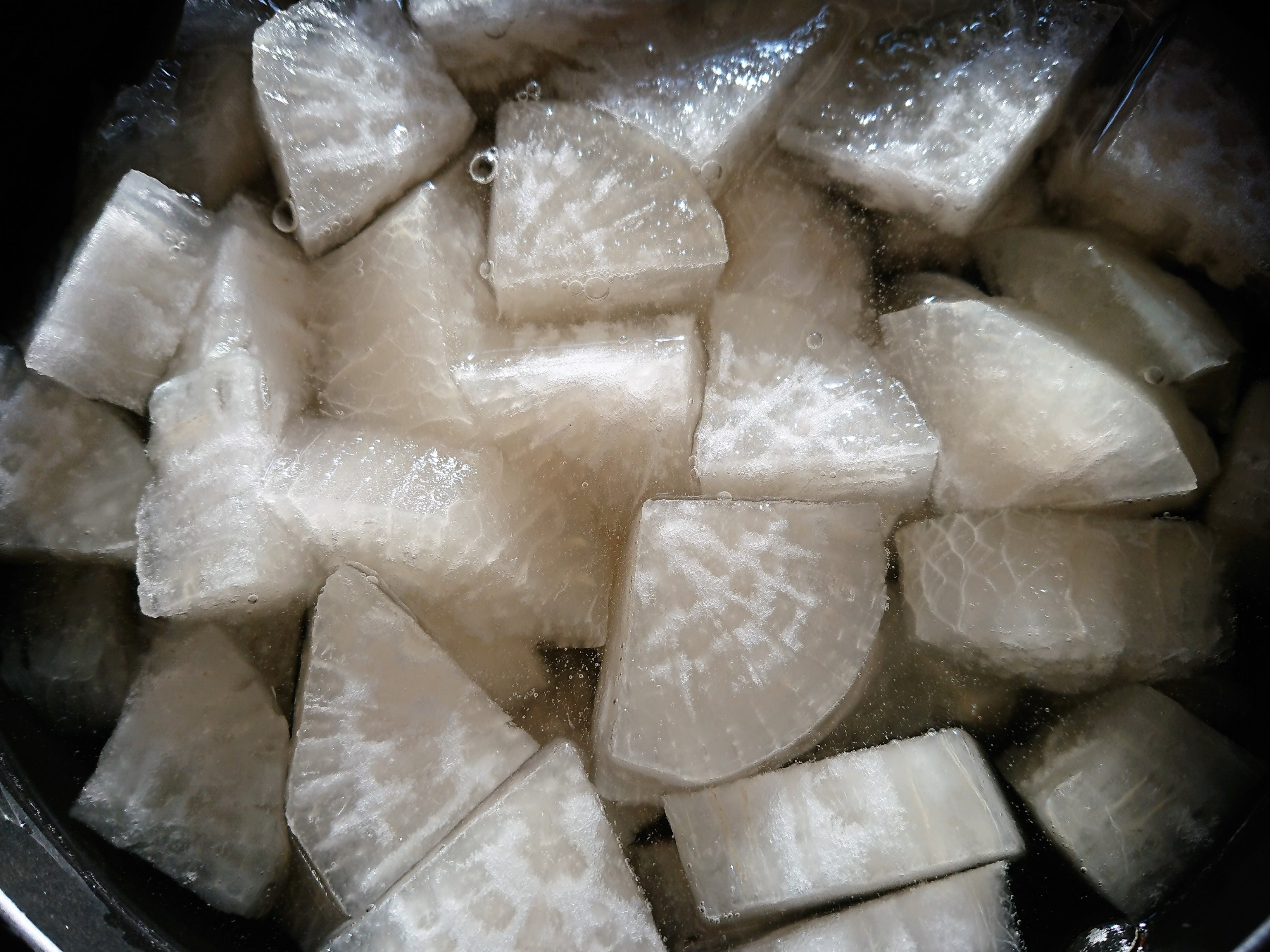 大豪 だいごう大根- e-種や国内最大級の野菜種・花種・苗・農業資材の販売店