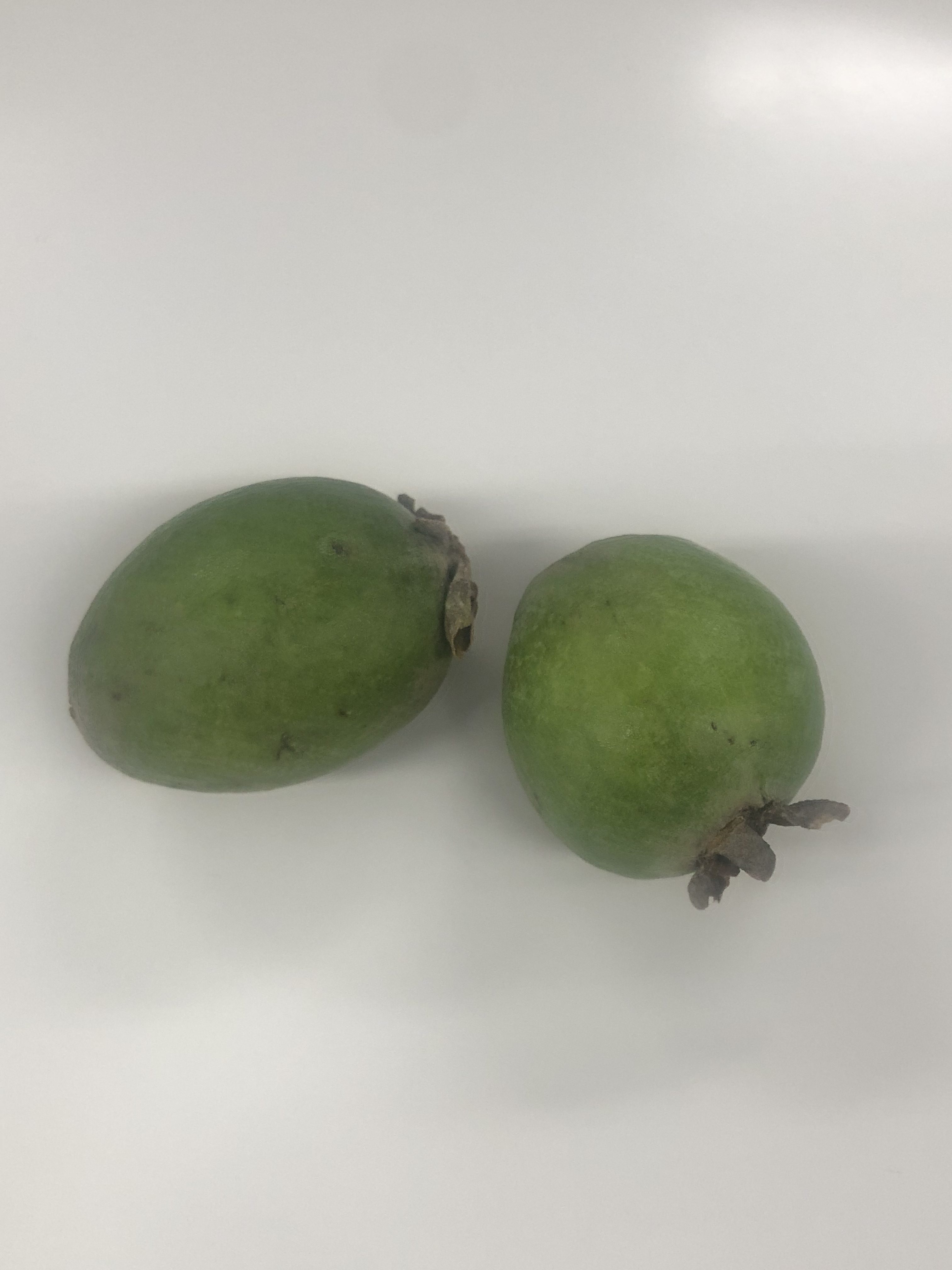 フェイジョアの実の初収穫と味見: 黒くまのガーデニング始めました