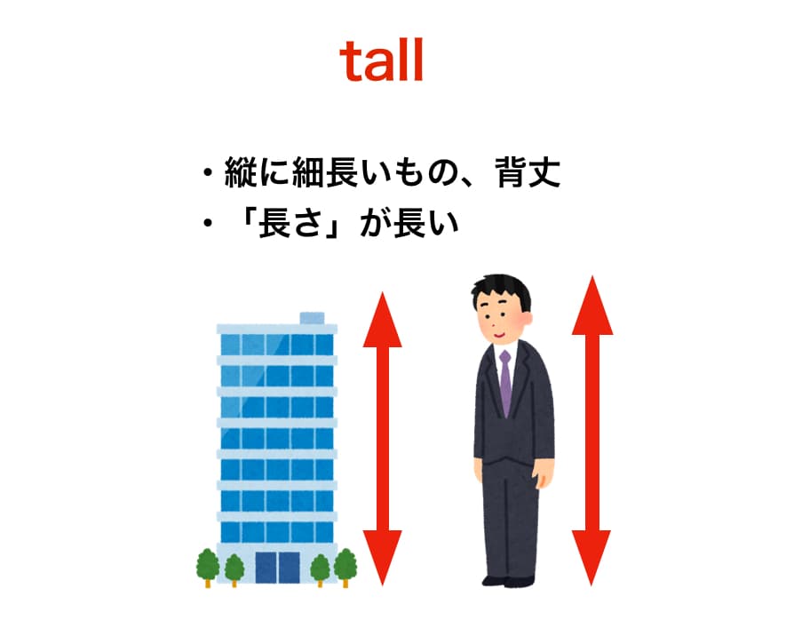 双子座（ふたご座）O型女性の性格、恋愛傾向、相性、運勢は？ | 無料占いcoemi(コエミ)