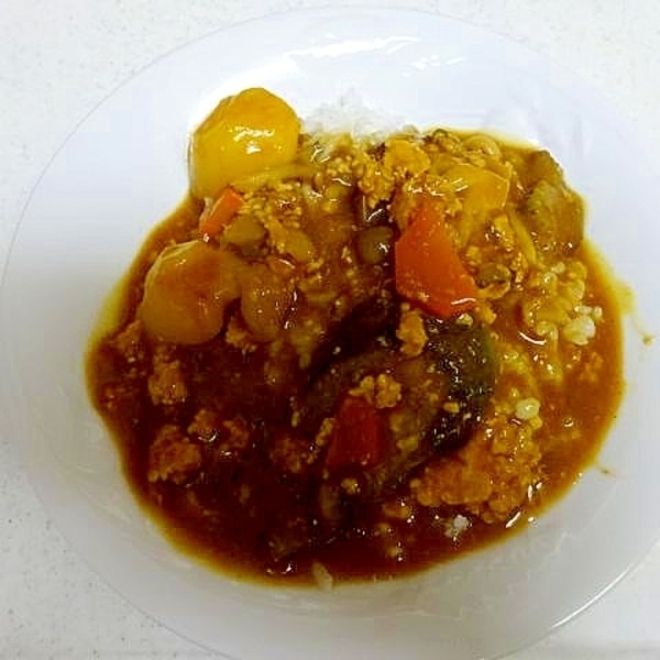食欲そそる♪ ゴーヤーのキーマカレ