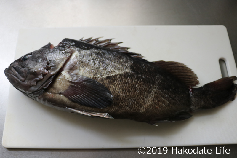 メバルの仲間！ソイをさばく！魚食普及推進センター 一般社団法人 大日本水産会