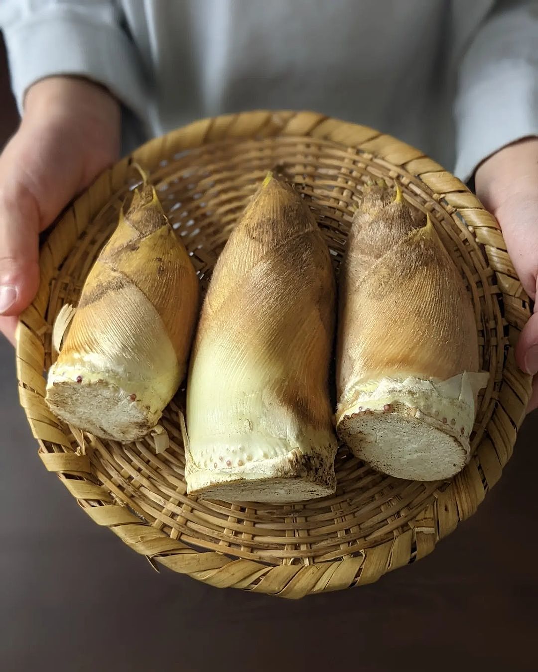 たけのこ タケノコ 筍