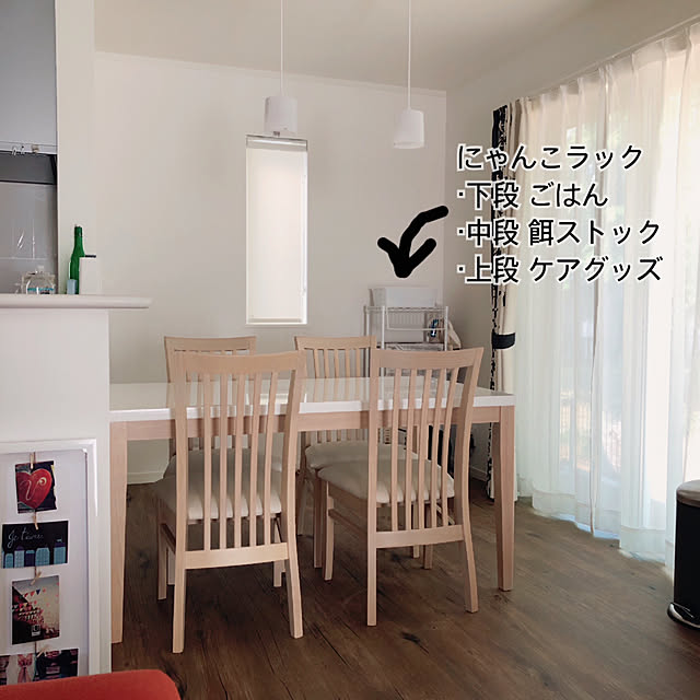 獣医師監修 猫の迎え入れ前に！快適な生活スペース・部屋作りのポイントねこのきもちWEB MAGAZINE