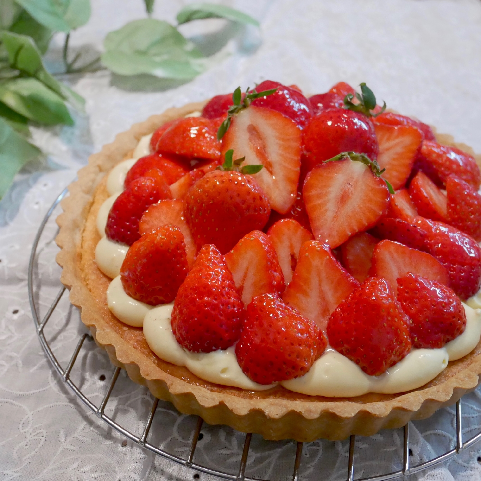 いちごタルト アーモンドクリームを焼いたタルト生地にカスタードクリームとホイップといちごをのせました – Bilde av Rail i Himeji- Tripadvisor