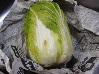 豚肉と野菜のギョーザ レシピ 栗原 はるみさん みんなのきょうの料理