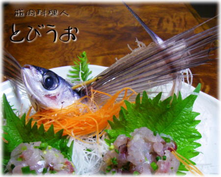トビウオあご の季節が来た！たたきがオススメ