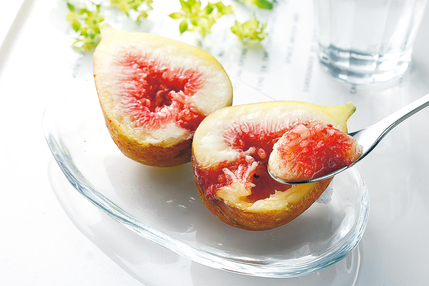 皮ごと食べられる！いちじく品種図鑑：選び方から簡単レシピまで