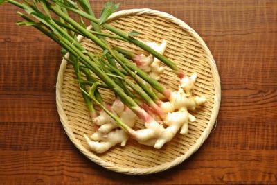 なんだか体が重だるいという人は湿気のせいかも知れないから黄色の食材がオススメ。薬膳では「黄色の食材は湿気から体を守る」という効果があって梅雨 時期に食べろと言うが、実は東日本では梅雨より秋雨の方が雨量が多いので今の時期こそ食べた方がいいの。頭痛・むくみ