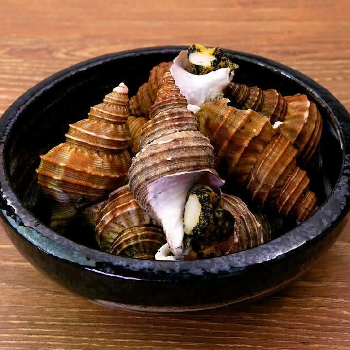 磯つぶ エゾバイ を茹でて食べる～美味しい茹で方Hakodate Life