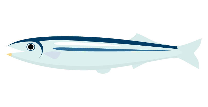 かわいいサンマのイラスト無料のフリー素材 イラストエイト