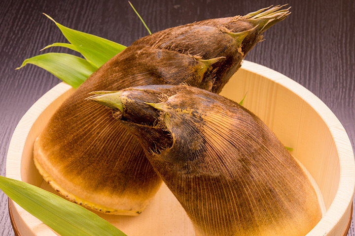 梅雨のだるさを改善しよう – PICK WP