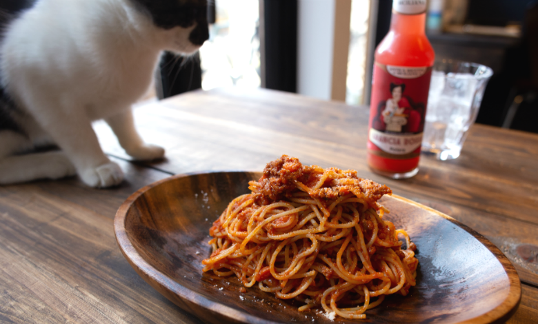 癒し 猫シェフがトマトソースパスタを作りにイタリアへ - YouTube