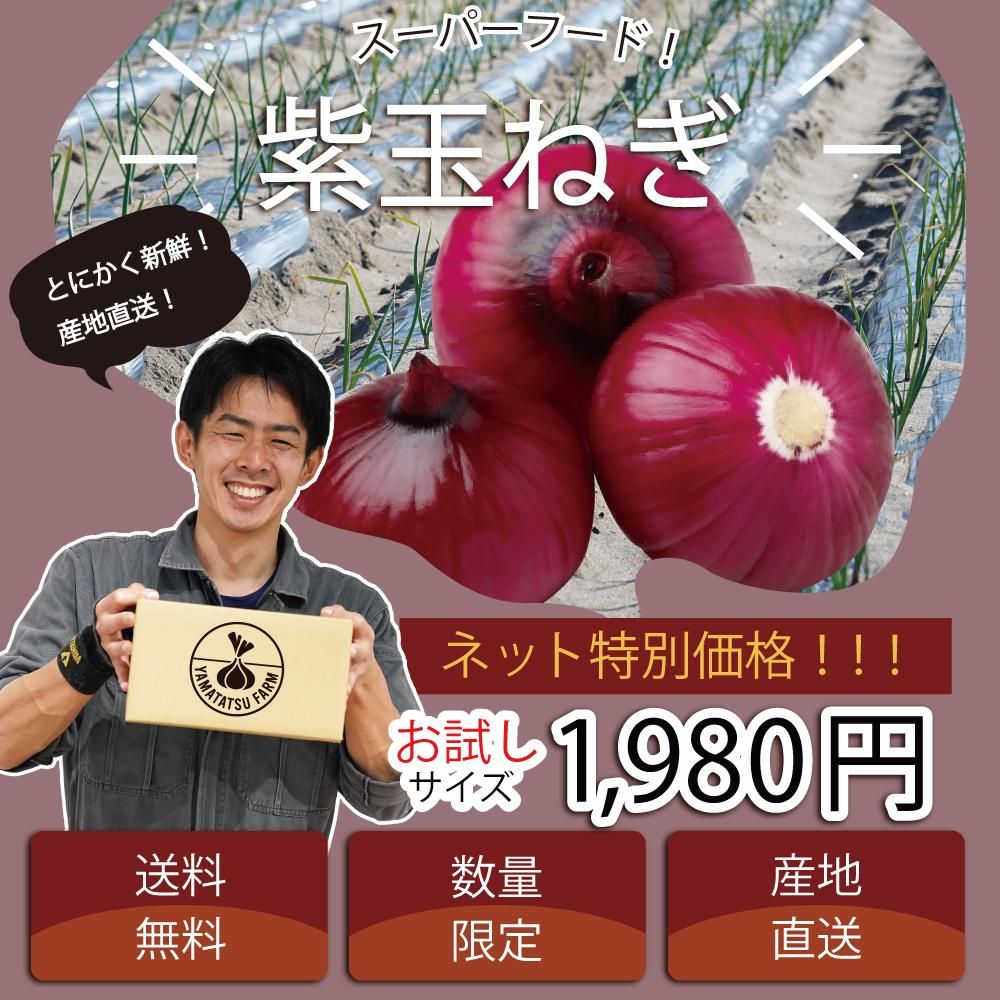 タマネギとれたて大百科食や農を学ぶJAグループ