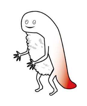 エビ寿司キャラクターイラスト付きポストカードPremiumベクトル素材