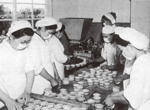 家庭用ソフトクリームメーカーなどアイスクリームを作る機械の人気おすすめランキングミツケヨ