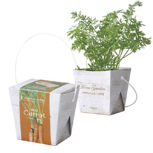 ミニ人参の画期的な育て方 ペットボトルとプラカップでたくさんの人参を水耕栽培で育てる方法アイデア家庭菜園