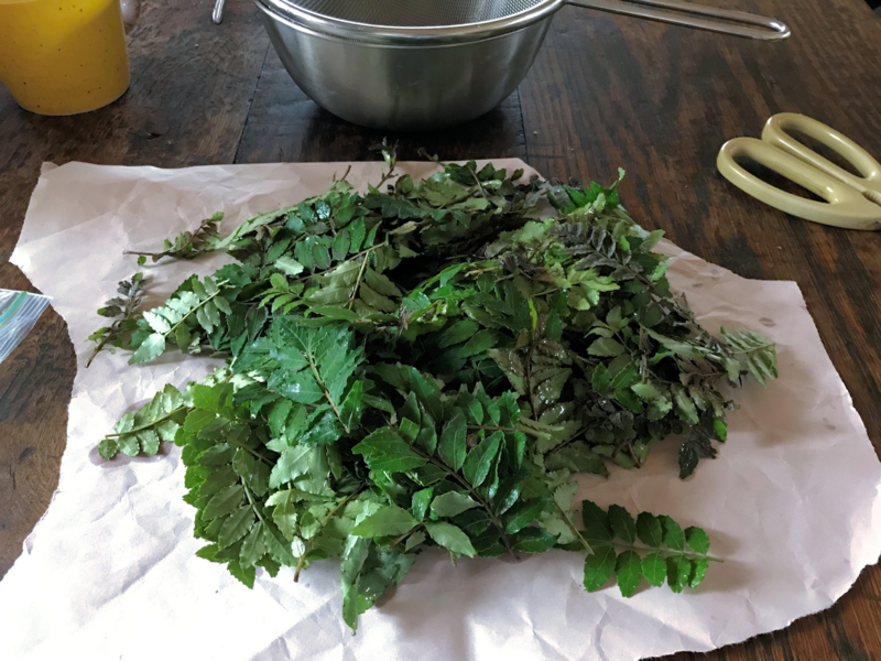 通販 ちりめん山椒 佃煮佃煮 仕出し割烹しげよし