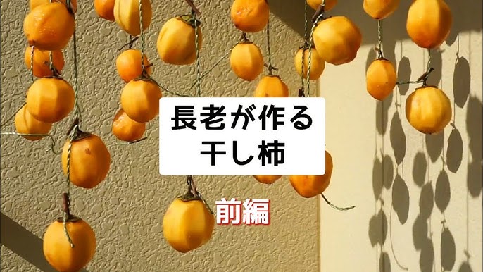 干し柿- おじさんチャリダー日記2