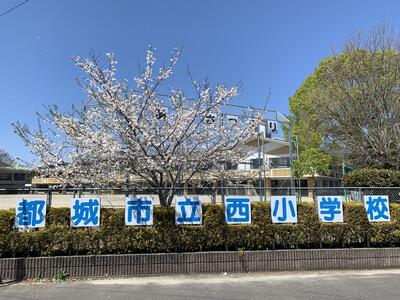 都城市でのリラクゼーション・マッサージならヴィラ都城店