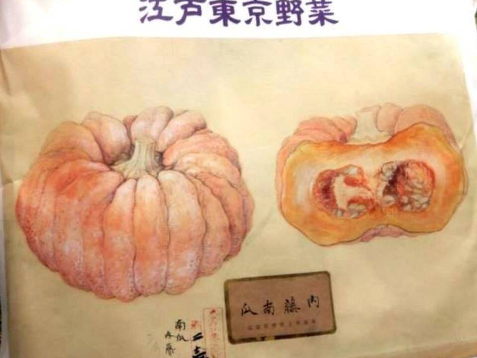 ひょうたんカボチャの魅力を再発見！美味しいスープからスイーツレシピまで