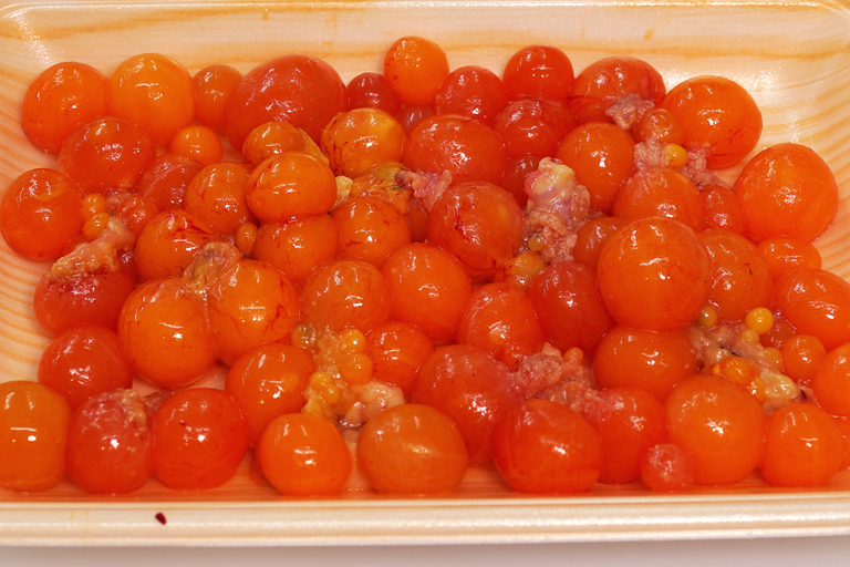 地鶏や九州・⿅児島の旬を味わう 