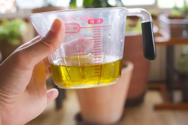 ハンバーグをアレンジ チャレンジ！！料理道場 経営戦略課 市役所の仕事としくみ 行政情報 古賀市オフィシャルページ