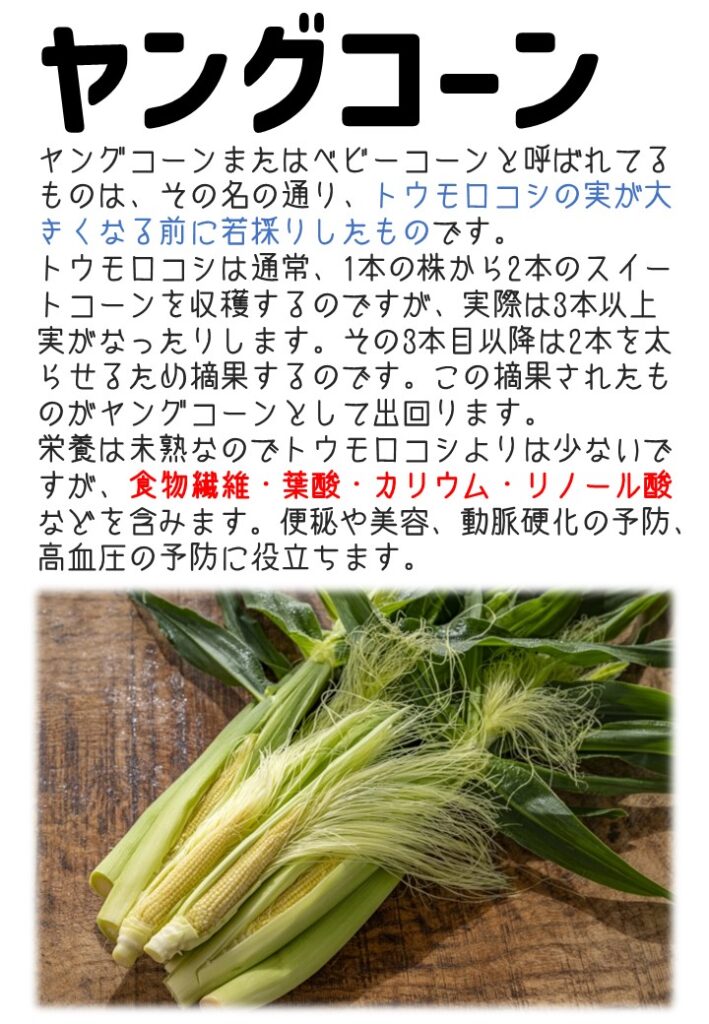 ヤングコーンの食べ方紹介。トースターで焼くのが1番美味しくて簡単。1000wで10分くらい焼きます。ヒゲの部分はホイルで包みましょう!個人的にはオリーブオイルと塩で食べるのが好き。ヒゲは味が濃いので一緒に食べてみて🌽🌽おつまみにピッタリヤングコーンこの季節だけのお味をぜひお楽しみください。,ヤングコーンbabycornかわはら青果店港北区