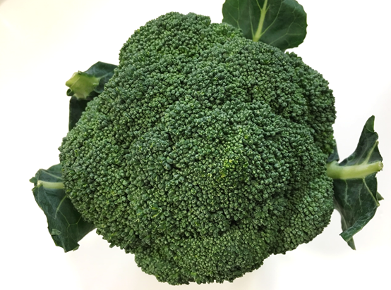 黄色い花と夏野菜 : 農業生活 in ニセコ