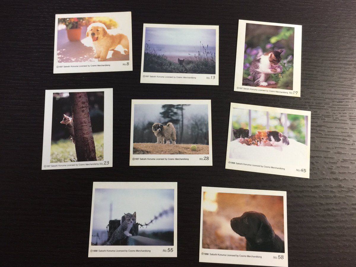 ハイソフト おまけカードの通販 by totoroshopラクマ