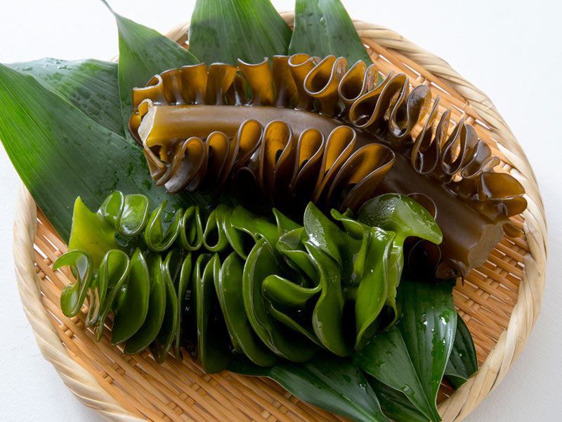 めかぶって何？魚介類の通販 山内鮮魚店