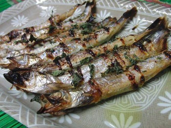 調理器具別 ししゃもの焼き方を伝授！フライパン・グリル・トースターで - macaroni