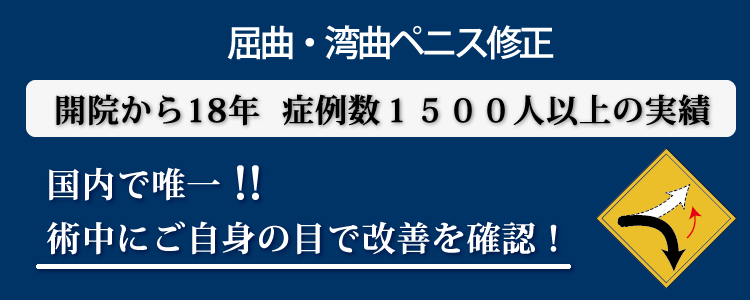 大豆レシチン細粒（遺伝子組み換えでないもの）