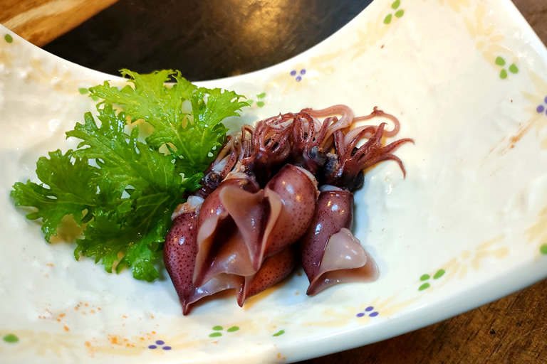 身投げするホタルイカは、富山湾の春を告げる特別天然記念物