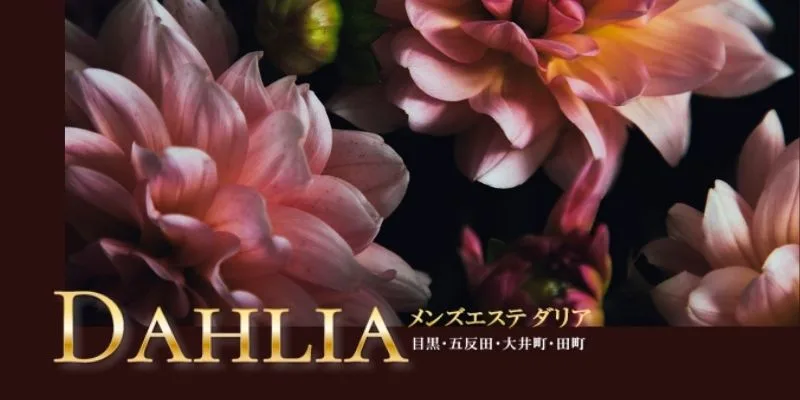 DAHLIA (ダリア) の口コミ体験談、評判はどう？｜メンエス