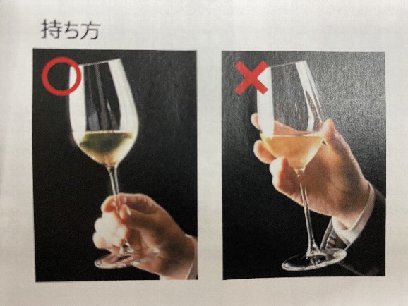 ワイングラスの正しい持ち方とは？女性と男性でマナーが違う？部位の名称も解説 - MAIAM WINES BLOG
