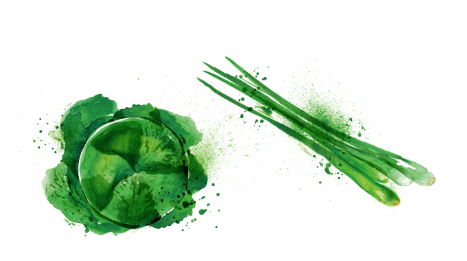 ツケナ類の種蒔き時期│土と親しむ ~家庭菜園・農業応援歌~