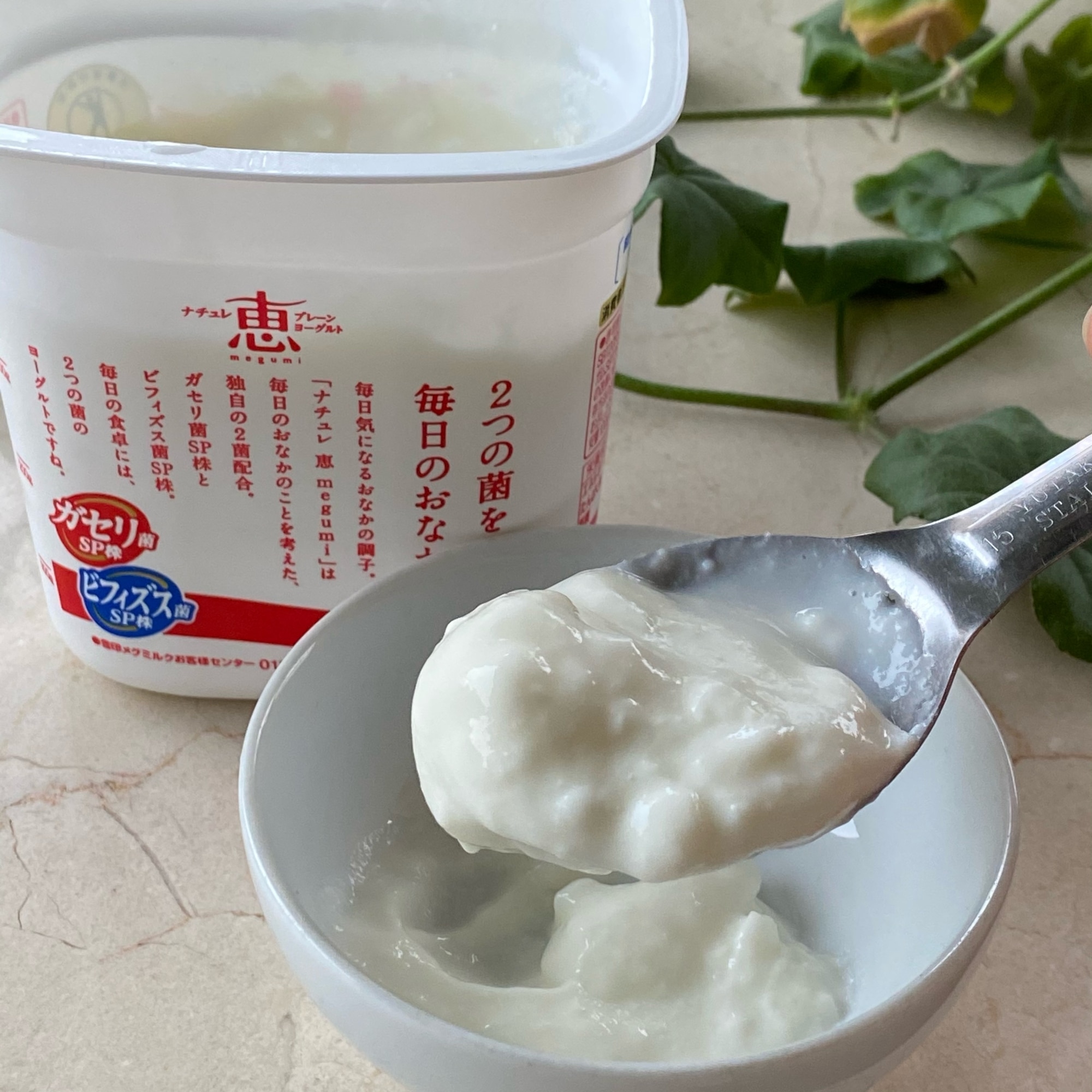 カスピ海ヨーグルトが固まらない！市販品を種菌にして増やすときの注意点とヨーグルトメーカーで効率的に量産するコツまごころ365