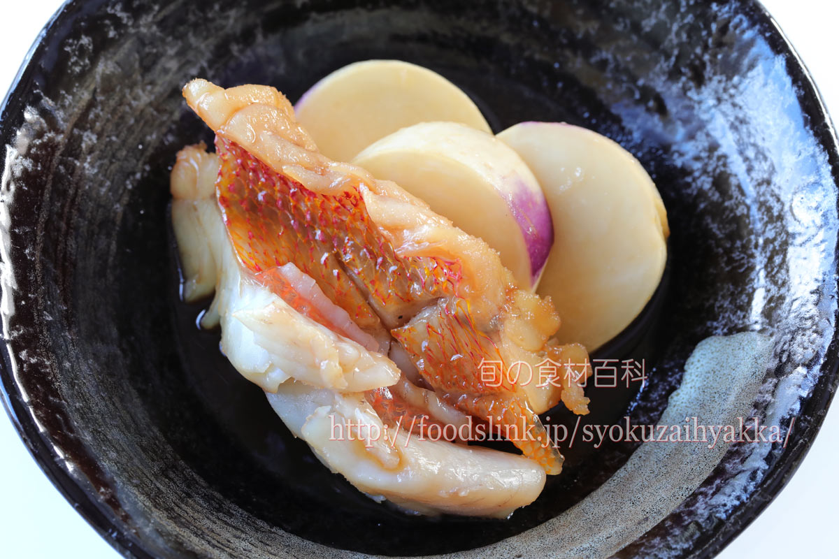 イサギのレシピ - 根付きのイサギ釣りなら嘉福丸