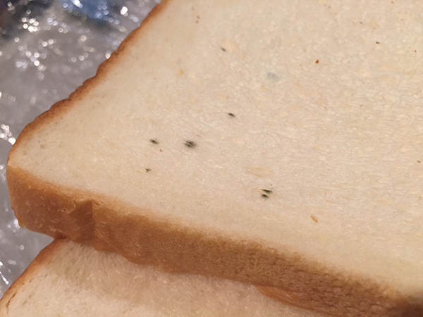 添加物入り食品､怖がる前に押さえておけ！ ｢カビないパン｣を目の敵にしてはいけないプレタポルテ東洋経済オンライン