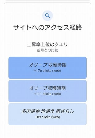 オリーブの収穫期を迎えるトルコ 10月~11月、収穫祭やフェスティバルも開催トルコ共和国大使館 文化観光局のプレスリリース