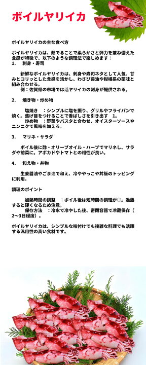 ヤリイカの塩茹で