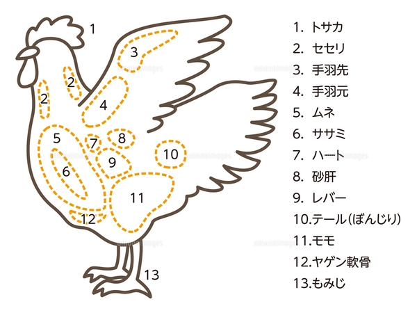 鶏肉の部位でソリやペタって何？一覧と特徴 これで鶏が丸分かり